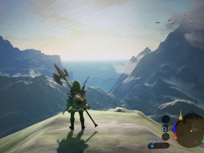 Illustration for article titled Here are Some of my Favorite Screenshots from The Legend of Zelda: Breath of the Wild